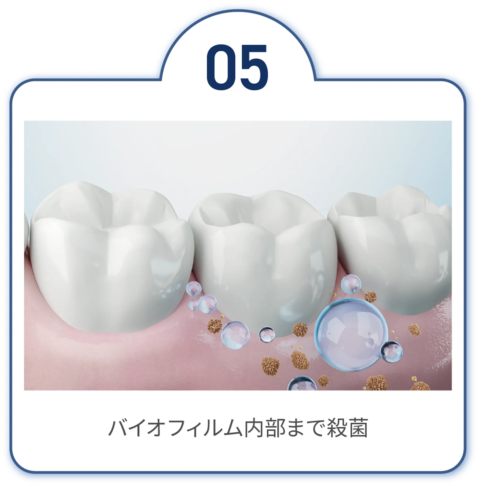 結果　バイオフィルム内部まで殺菌