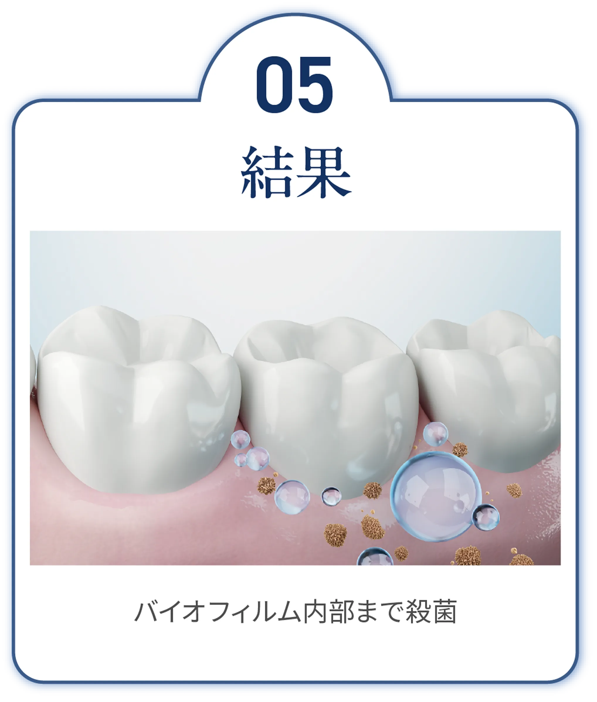 結果　バイオフィルム内部まで殺菌